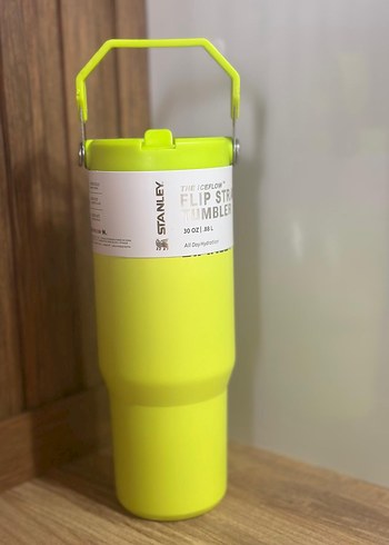 Stanley Pastel Yeşil Termos Bardak - Görsel 3