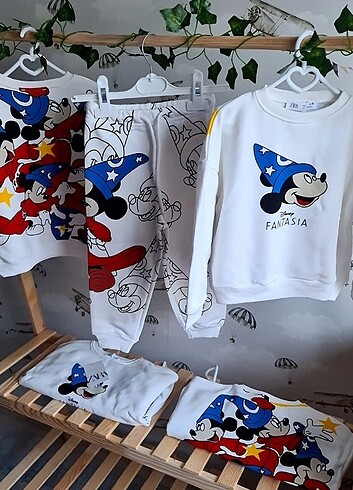 Zara Disney Fantasia Takim 