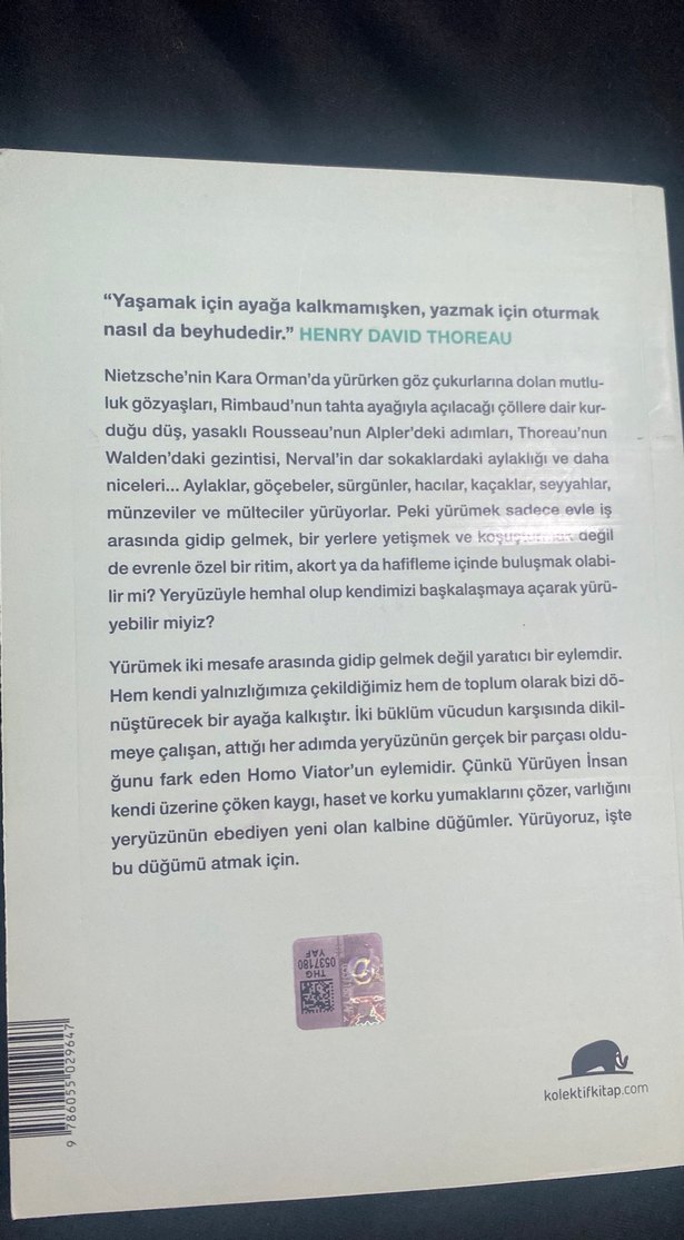 Yürümenin Felsefesi - Frédéric Gros - Görsel 2