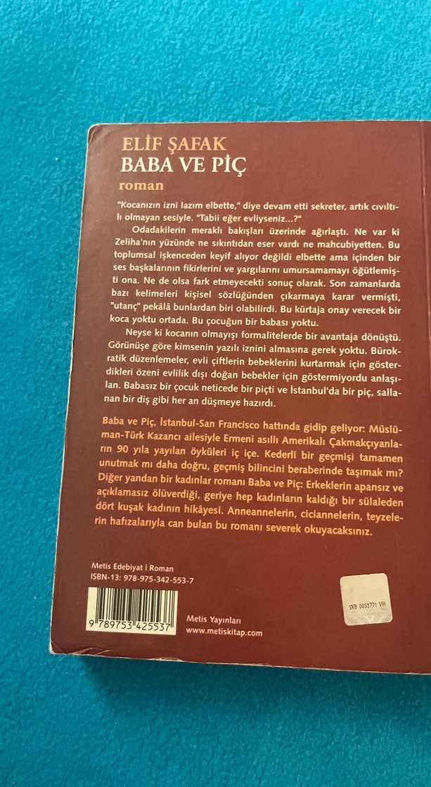 Baba ve Piç - Elif Şafak - Görsel 2