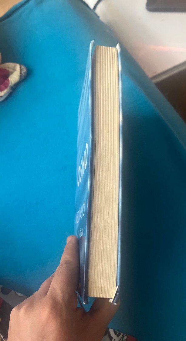 Osho Meditasyon Pratik Rehberi - Görsel 3