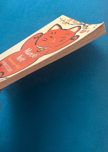 Maneki Neko - Japonların İyi Şans Kitabı - Görsel 3