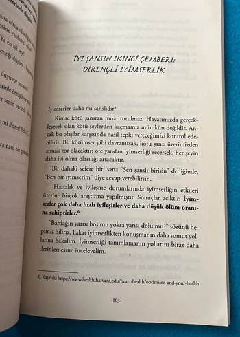 Maneki Neko - Japonların İyi Şans Kitabı - Görsel 4