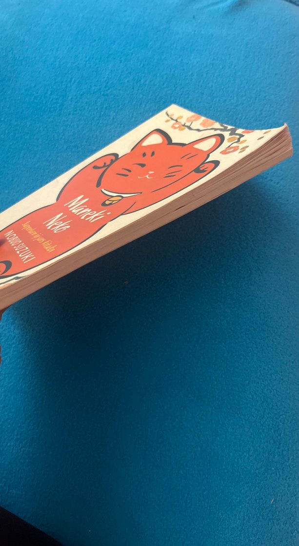 Maneki Neko - Japonların İyi Şans Kitabı - Görsel 3