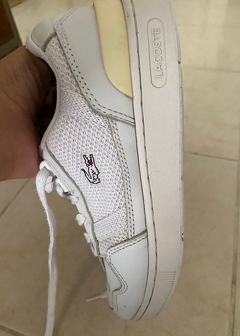 36 Beden beyaz Renk Lacoste Beyaz Bağcıklı Spor Ayakkabı