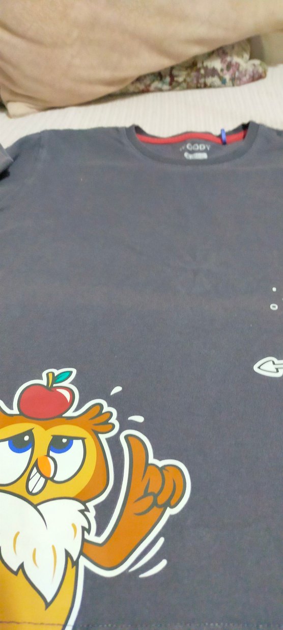 Uzun Kollu Gri Baskılı Erkek Çocuk Tişörtü - Görsel 2