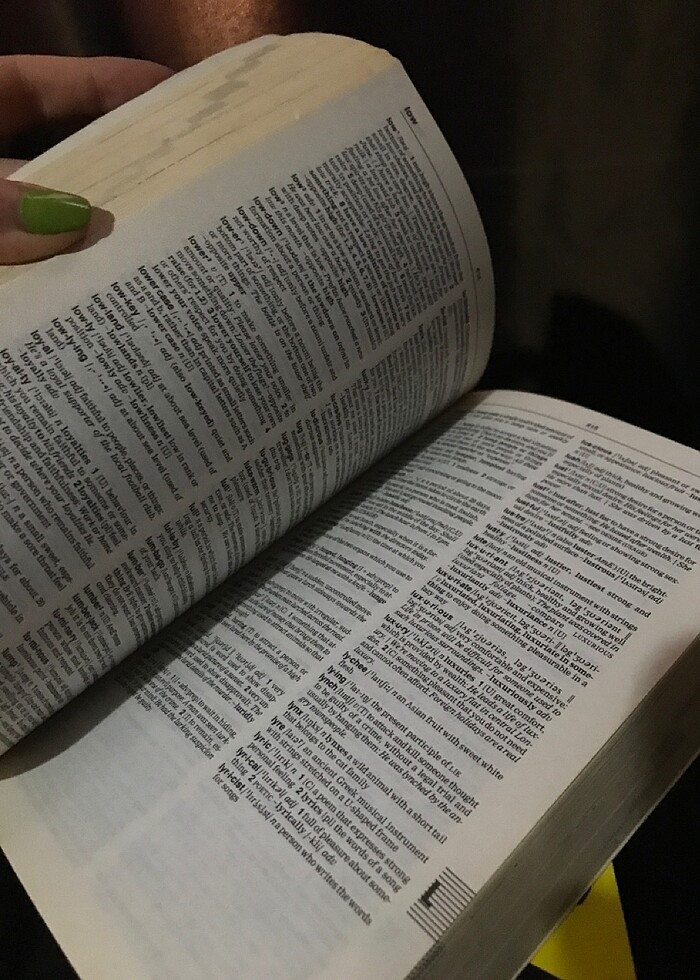 longman sözlük - Görsel 4