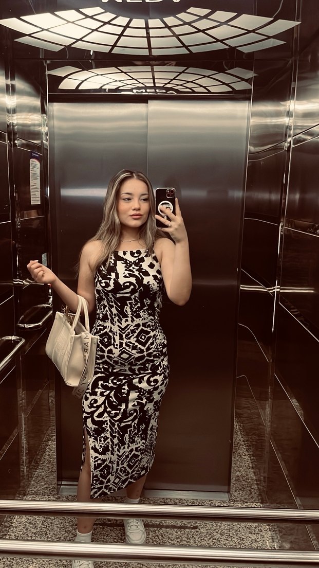 Siyah Zebra Desenli Transparan Midi Elbise - Görsel 3