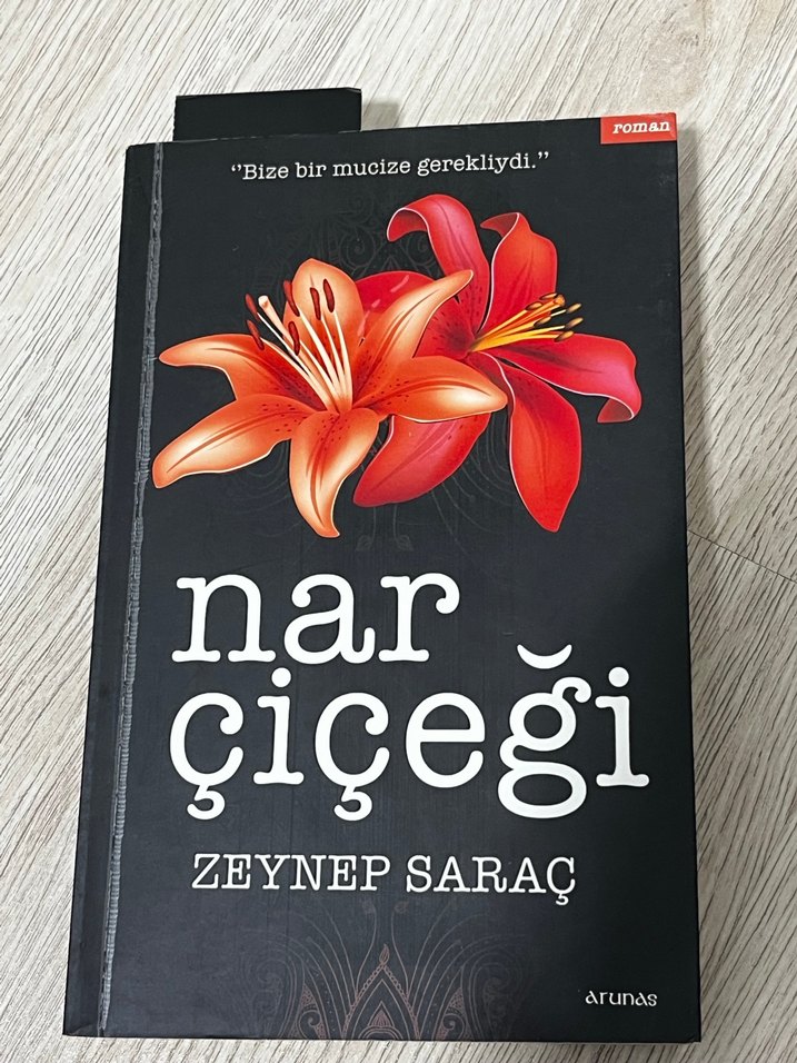 Nar Çiçeği, Sherlock Holmes, Tanrı'nın Unutulan Çocukları - Görsel 4