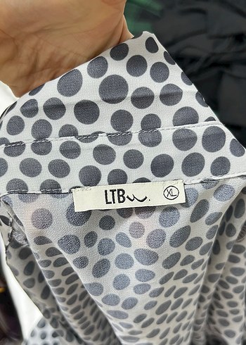 Şeffaf Zebra Desenli V Yaka Kadın Gömlek - Görsel 5