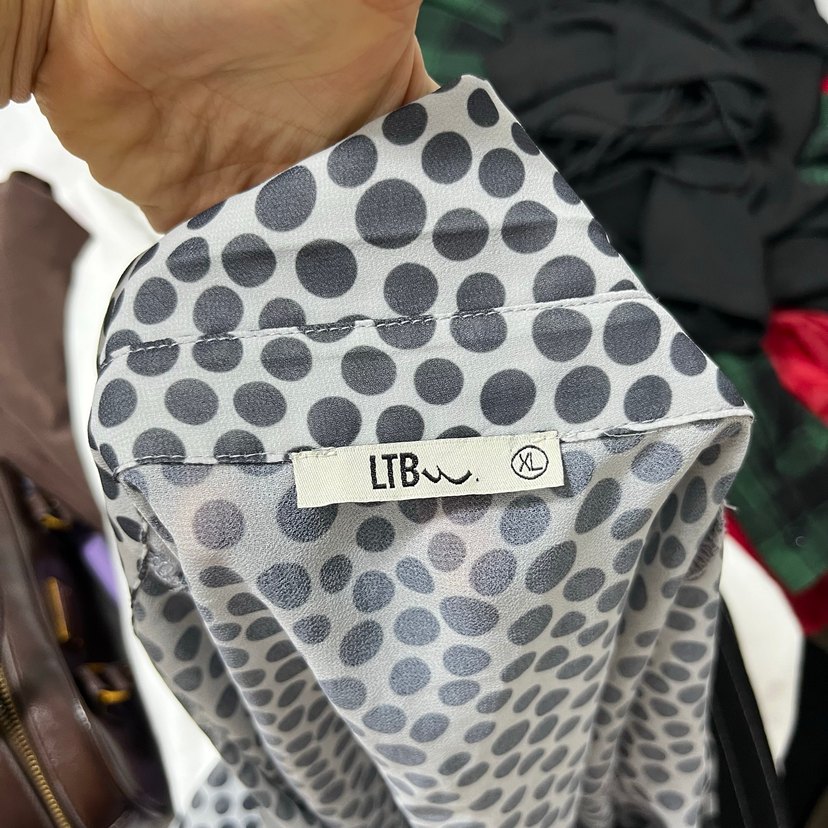 Şeffaf Zebra Desenli V Yaka Kadın Gömlek - Görsel 5