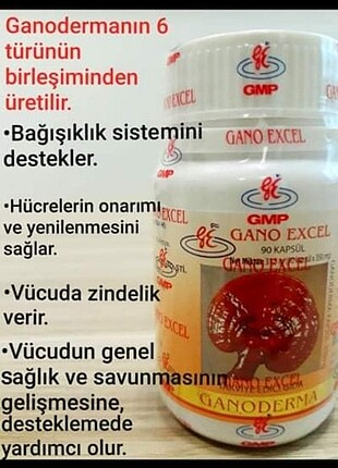 Ganoderma