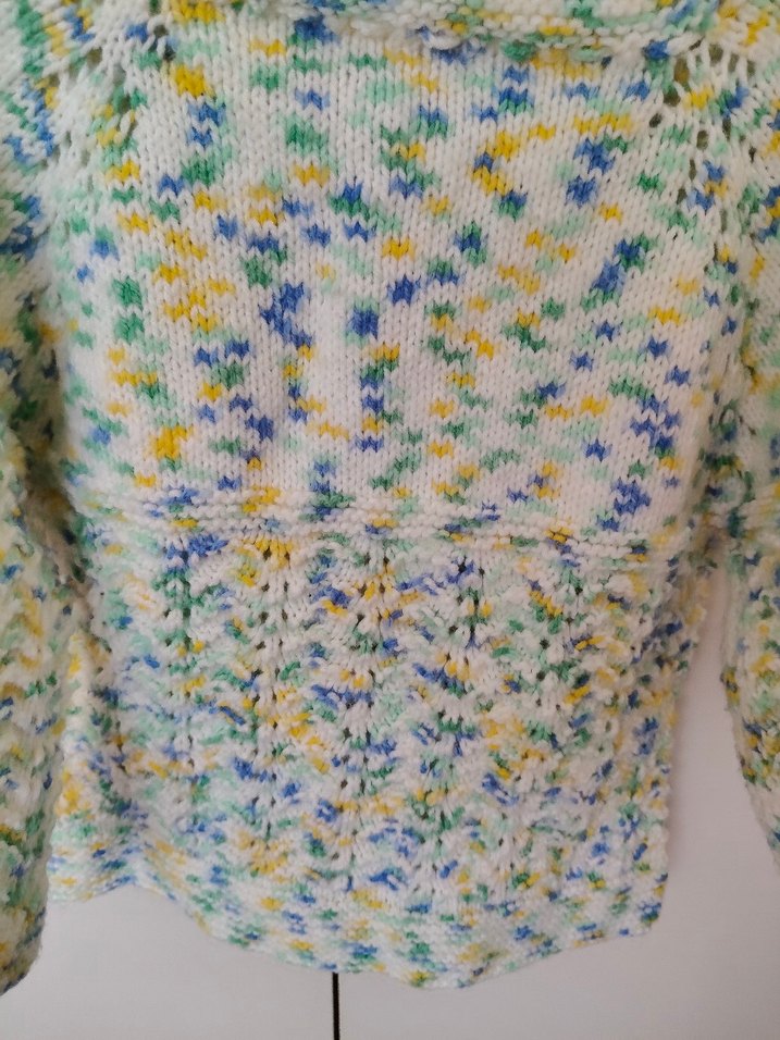 el emeği örgü yelek - Görsel 4