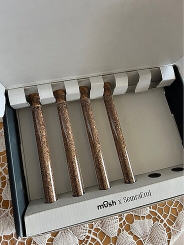 Diğer Kırmızı reishi mantarı