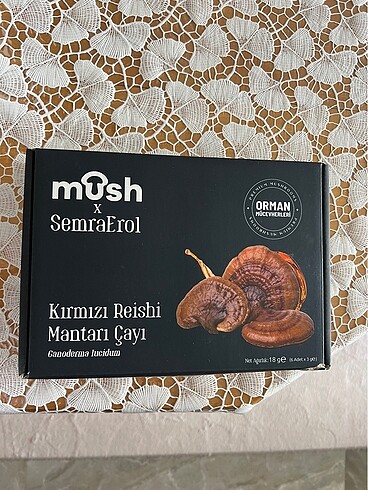 Kırmızı reishi mantarı