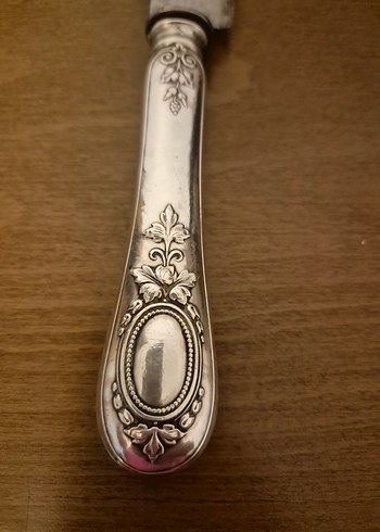 gümüş kaplama - Görsel 6