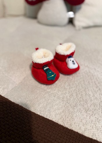 Walt Disney World 17