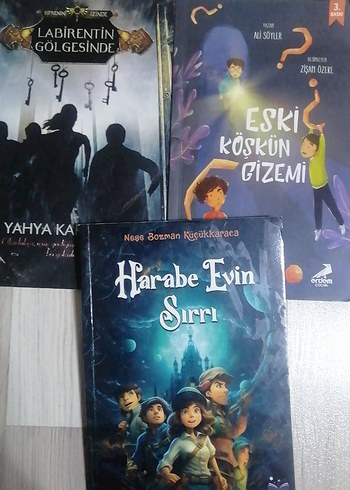 Labirentin Gölgesinde,Eski Köşkün Gizem,Harabe Evin Sırrı kitap