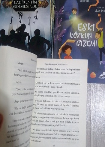 Labirentin Gölgesinde,Eski Köşkün Gizem,Harabe Evin Sırrı kitap