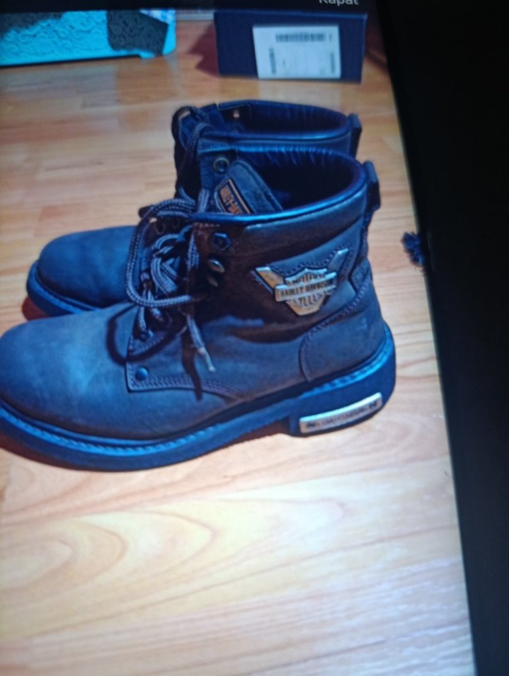 harley Davidson bot - Görsel 4