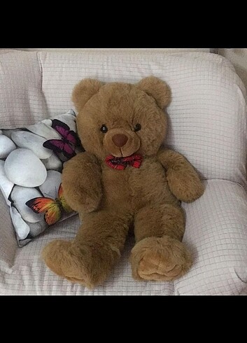 Peluş ayı
