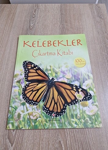 Kelebek çıkartma kitabı 