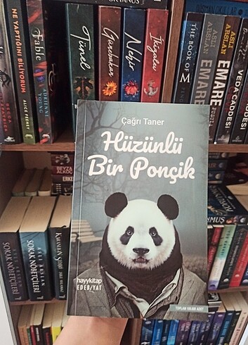 Hüzünlü bir ponçik 