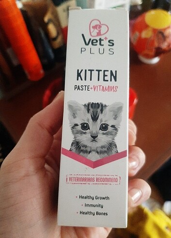 Kedi vitamini 