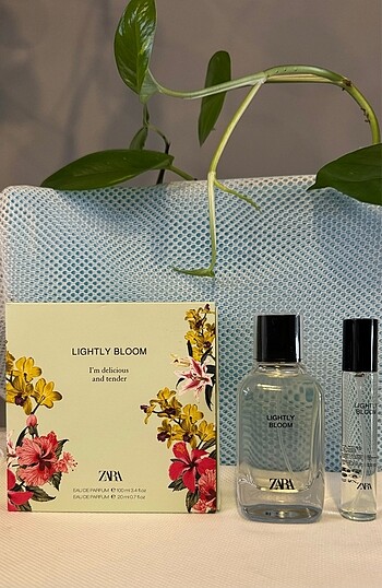 Lıgtly Bloom