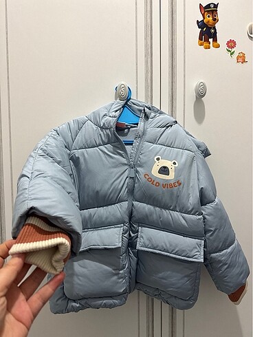 Koton mont