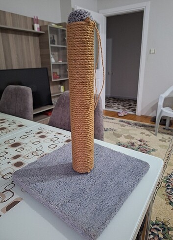 Kedi tırmalama tahtası hiç tırmalanmadı
