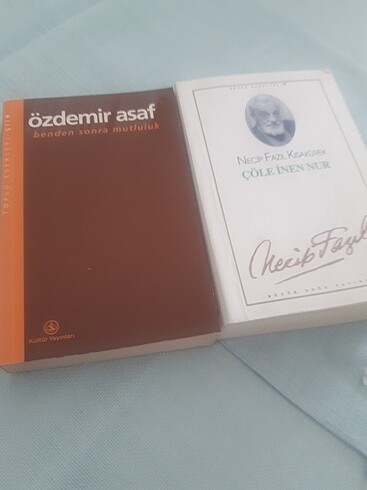 Çöle inen nur /Necip Fazıl Özdemir Asaf 