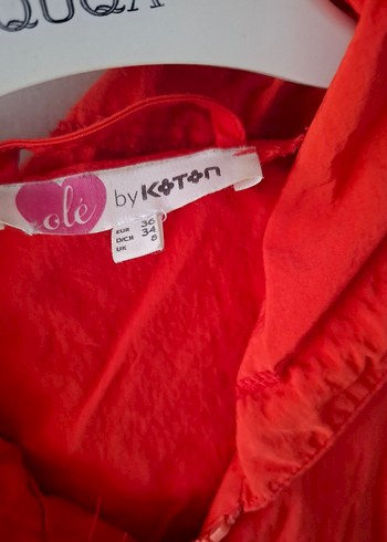 narçiöeği renginde Kapüşonlu Fermuarlı Kadın yağmurluk - Görsel 2