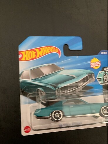 Beden Renk Hot wheels 2025