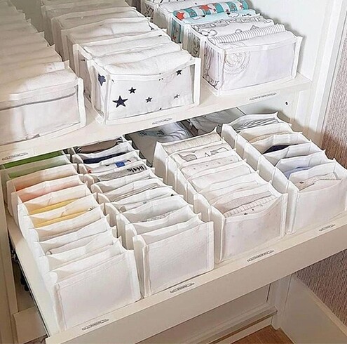 Organizer