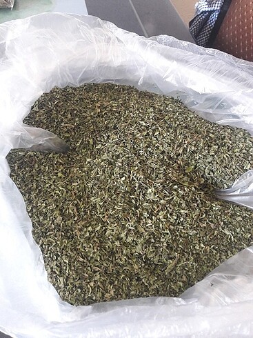 Paşabahçe Bardak