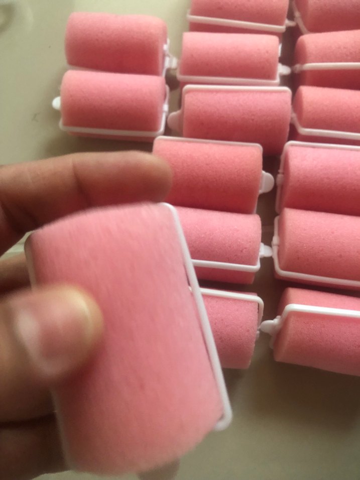 Pembe sac Süngeri bugidi - Görsel 4