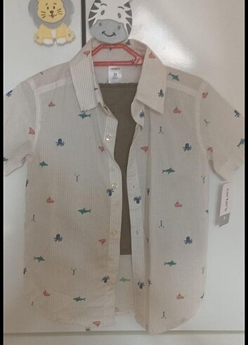 Carter's Carters takim