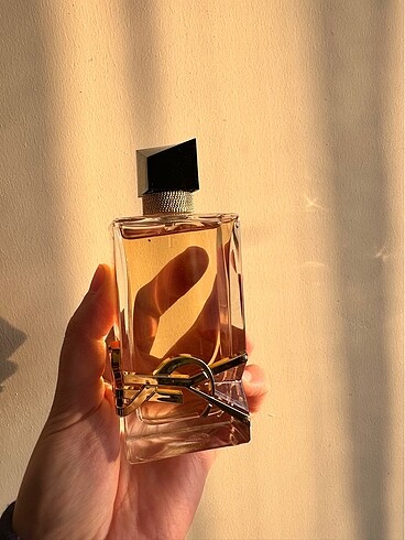 Ysl libre