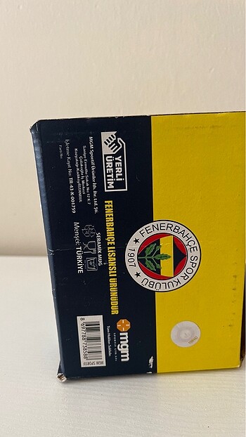 Beden Fenerbahçe kupası