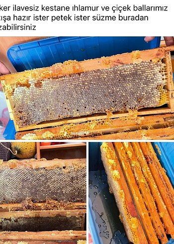İlavesiz Kestane, Ihlamur ve Çiçek Balı