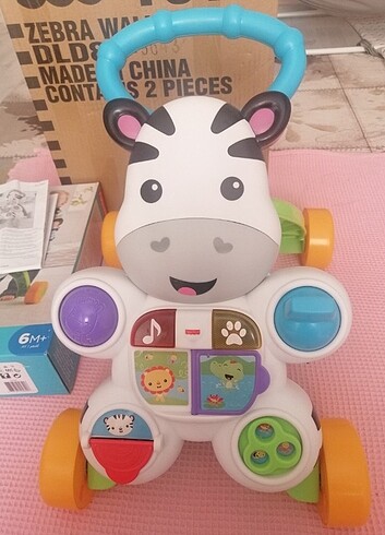 Zebra yürüme arkadaşım