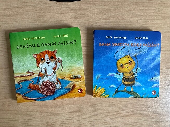 İkili interaktif kitap