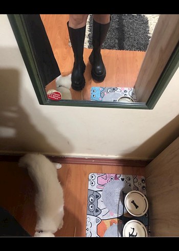 Siyah Kadın Dizüstü Lastik Çizme Stiletto Topuk - Görsel 4