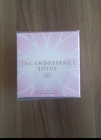 İncandessence lotus