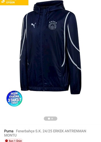 Puma Fenerbahçe S.K. 24/25 Erkek Antrenman Montu