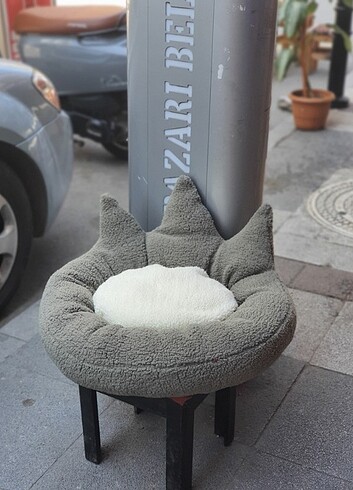 Kedi yatağı