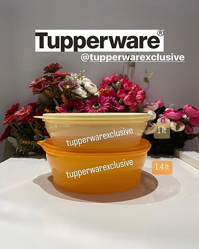 Tupperware Klasik Saklama Kabı 2?li Set