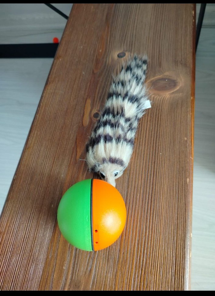 Kedi Oyuncağı Hareketli - Görsel 2