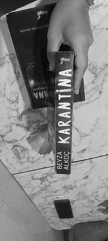  Karantina serisi
